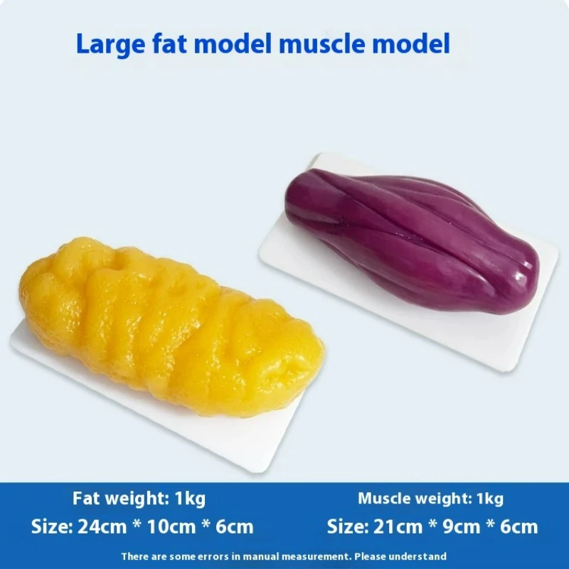 İnsan Kası ve Yağ Replikaları  - Nutrition Of Fitness incelemesi ve fiyatı